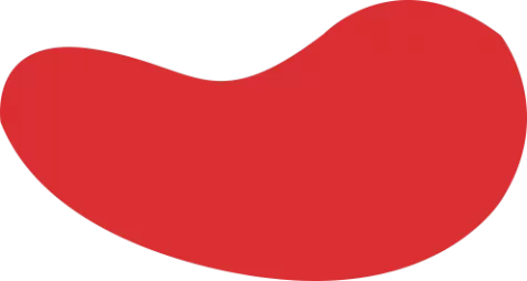 半岛体育·(中国)官方网站-BANDAO SPORTS