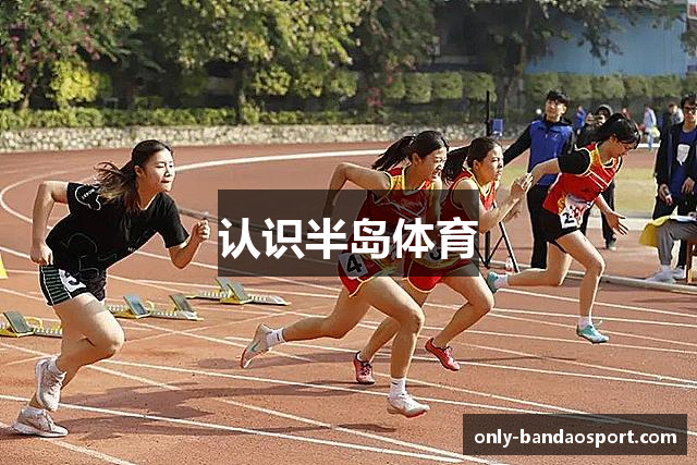 半岛体育·(中国)官方网站-BANDAO SPORTS